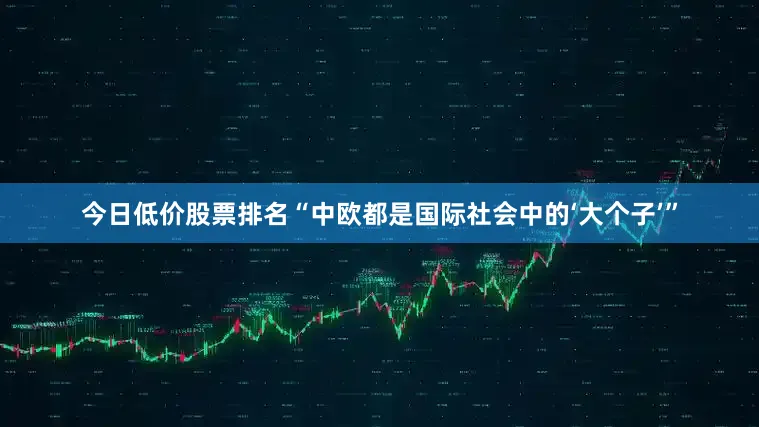 今日低价股票排名“中欧都是国际社会中的‘大个子’”
